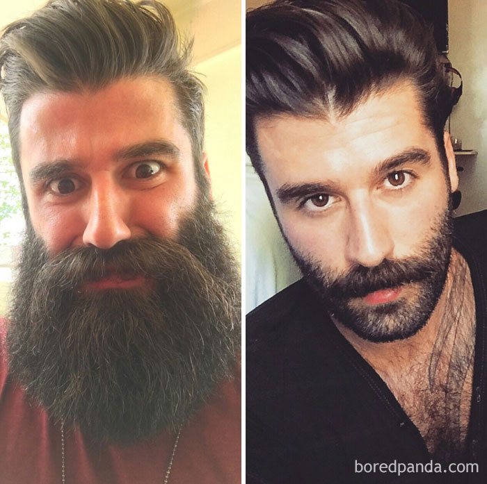 before after beard transformations 14 5c3f347bdd383 700
