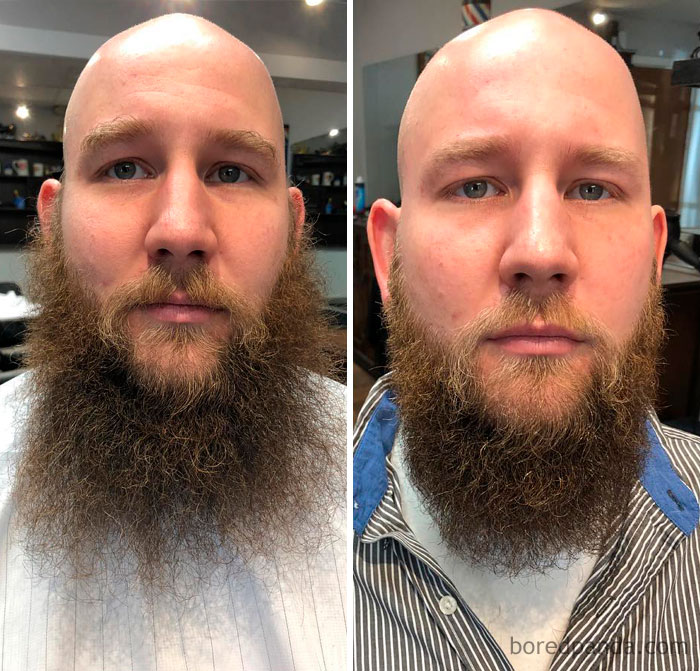before after beard transformations 92 5c41999c286ae 700