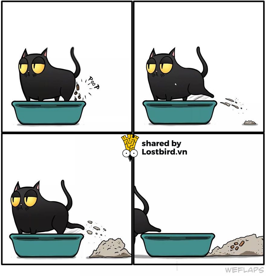 funny cat comics weflaps 18 5ce407ea14ff9 880