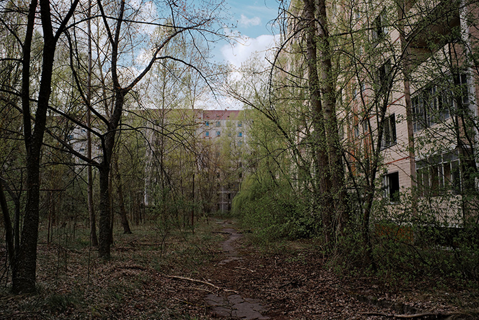 nature taking over chernobyl pripyat 14 5d0798ed50f9b 700