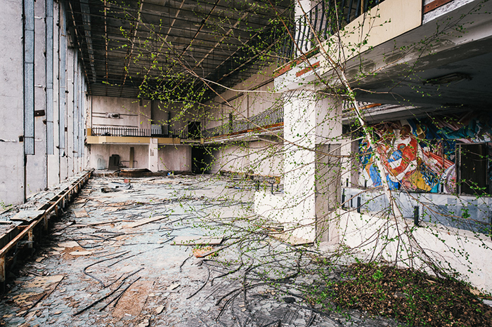 nature taking over chernobyl pripyat 28 5d0b3bf191afb 700