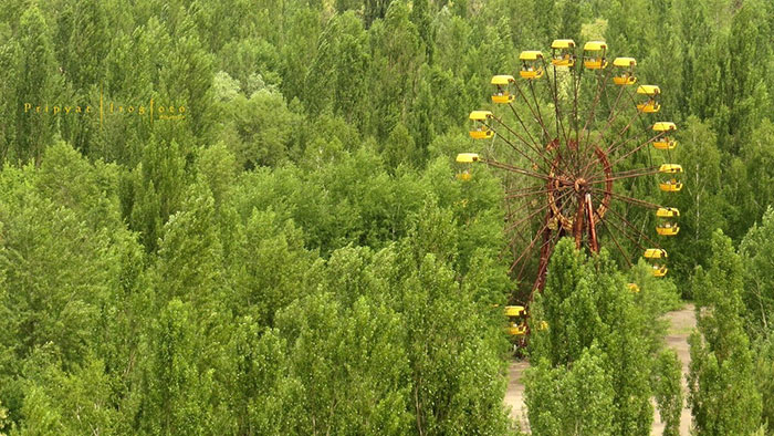 nature taking over chernobyl pripyat 48 5d1374d9546fb 700