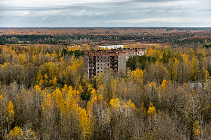 nature taking over chernobyl pripyat 9 5d07952ccb026 700