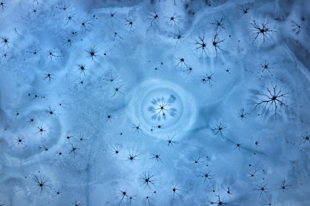 Đây là cảnh tượng băng tan vào mùa xuân khi nhìn từ trên cao. Băng nứt dần và tan thành nước từ phần trung tâm, tạo nên hình ảnh trông như những neutron thần kinh. Hình ảnh được chụp tại Cộng hòa Séc bởi nhiếp ảnh gia Martin Mecnarowski.