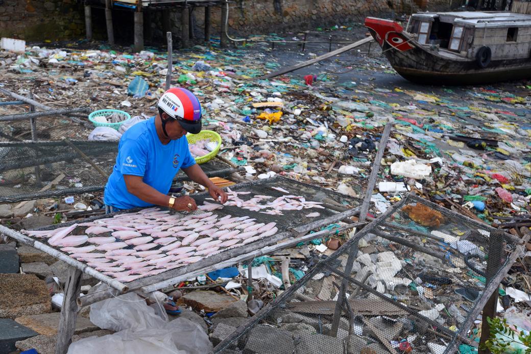 Ngư dân phơi hải sản ngay gần khu vực ngập rác ở Cần Giờ, TP.HCM.