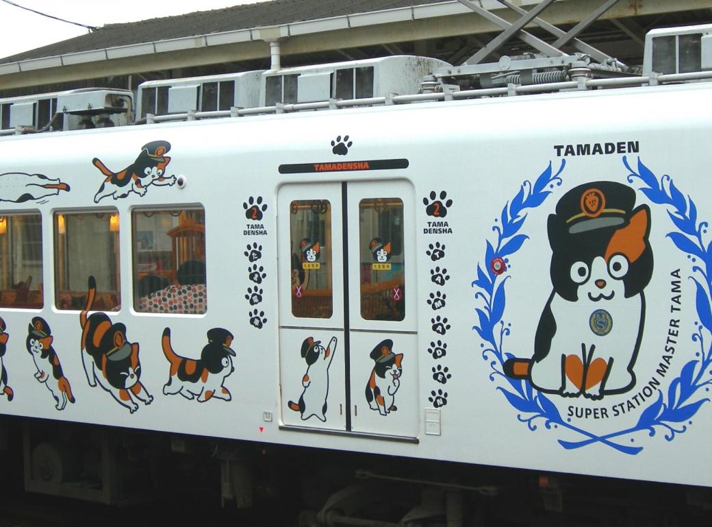 Từ năm 2010, công ty quản lý tuyến đường sắt ở tỉnh Wakayama đã cho trang trí lại các đoàn tàu với hình ảnh của cô mèo Tama.