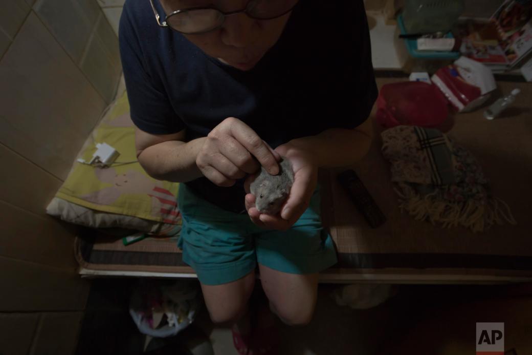 Kitty Au chơi cùng chú hamster của mình bên trong ‘cỗ quan tài’ của cô ấy.