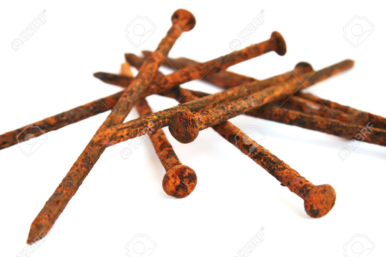 8036187 rusty nails isolated on white background stock photo