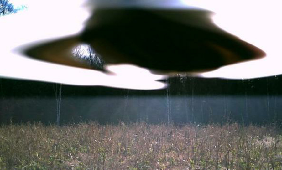 creepiest things ever captured on trail cameras 10