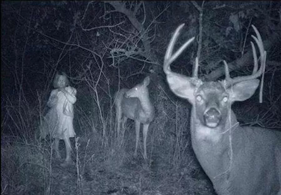 creepiest things ever captured on trail cameras 5