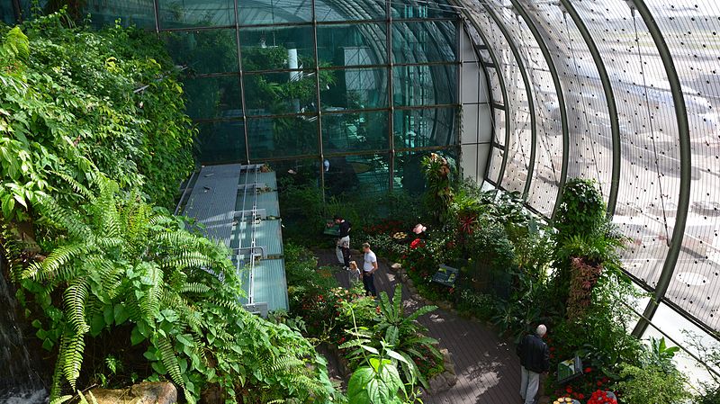 butterfly garden changi airport singapore by dr raju kasambe dsc 5250 3