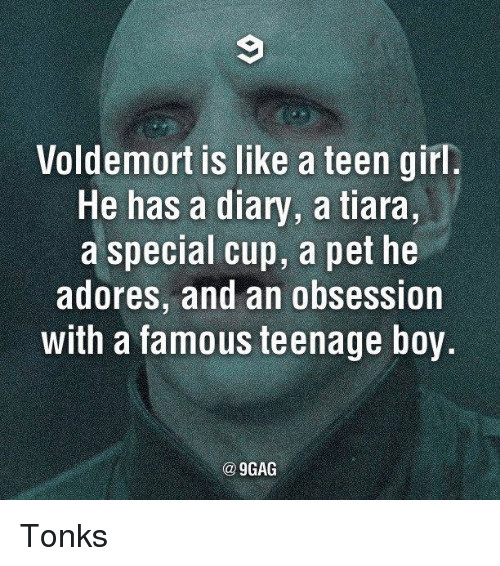 voldemort is like a teen girl he has a diary 5956455