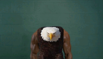 birds with arms gifs are the gift you never knew you needed in your life 12