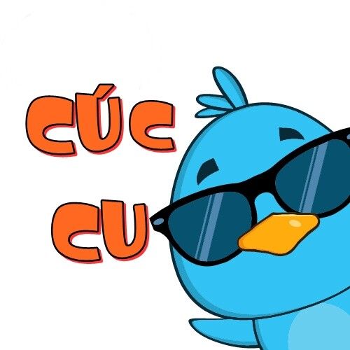 Cúc Cu