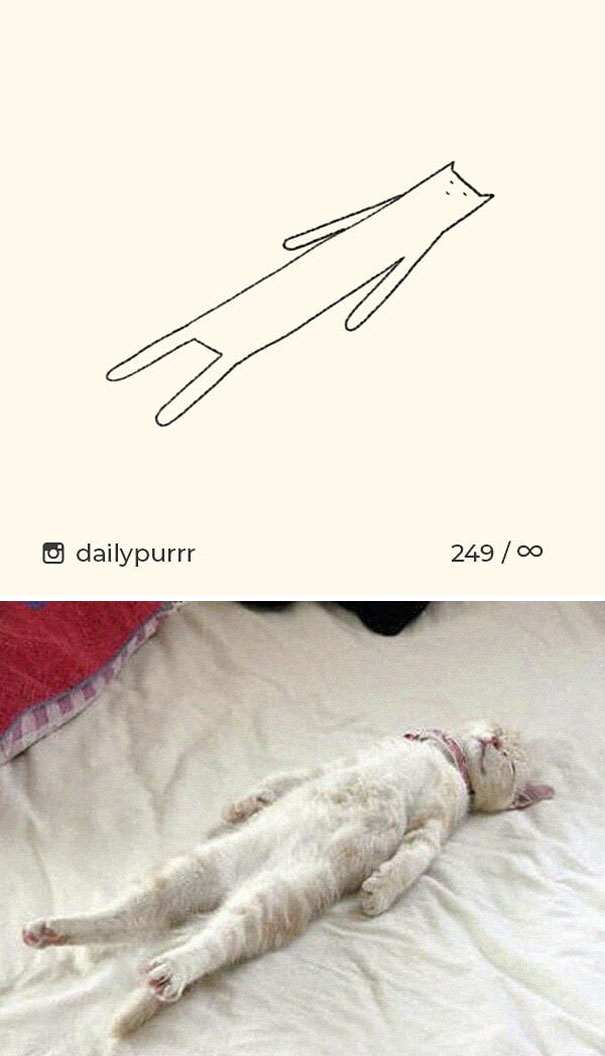 stupid cat drawings dailypurrr 95 5af0185eb5c42 605