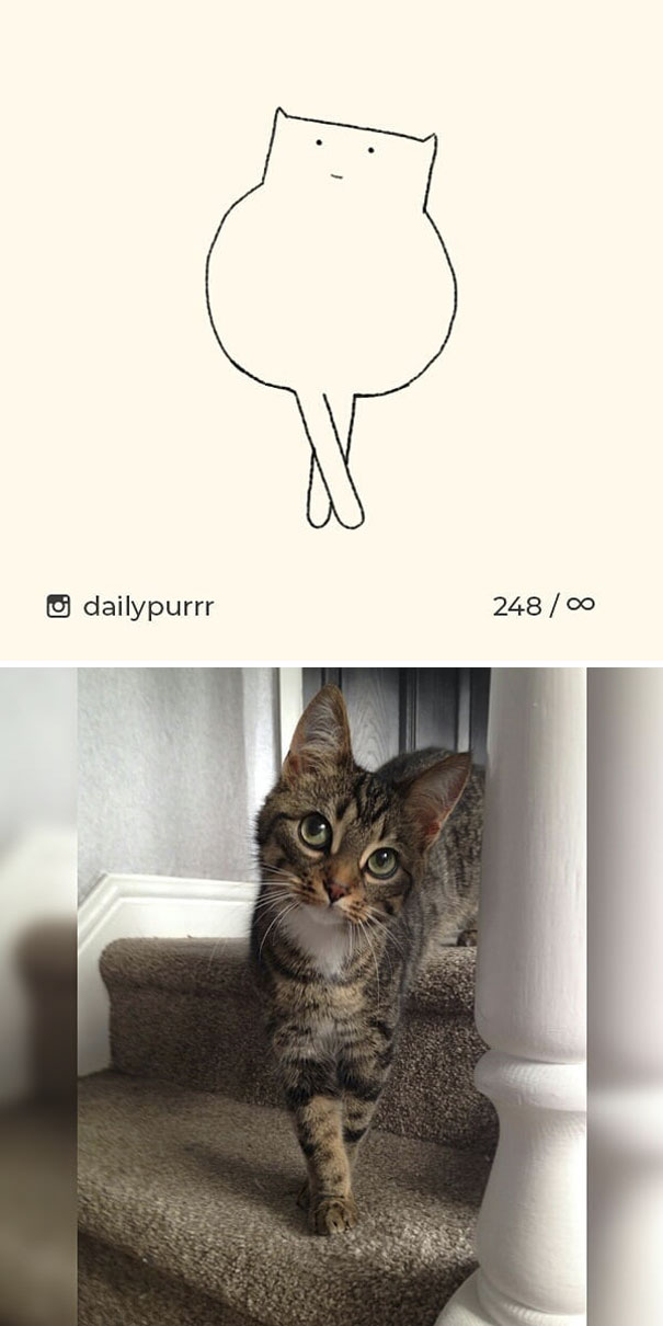 stupid cat drawings dailypurrr 96 5af0186080e01 605