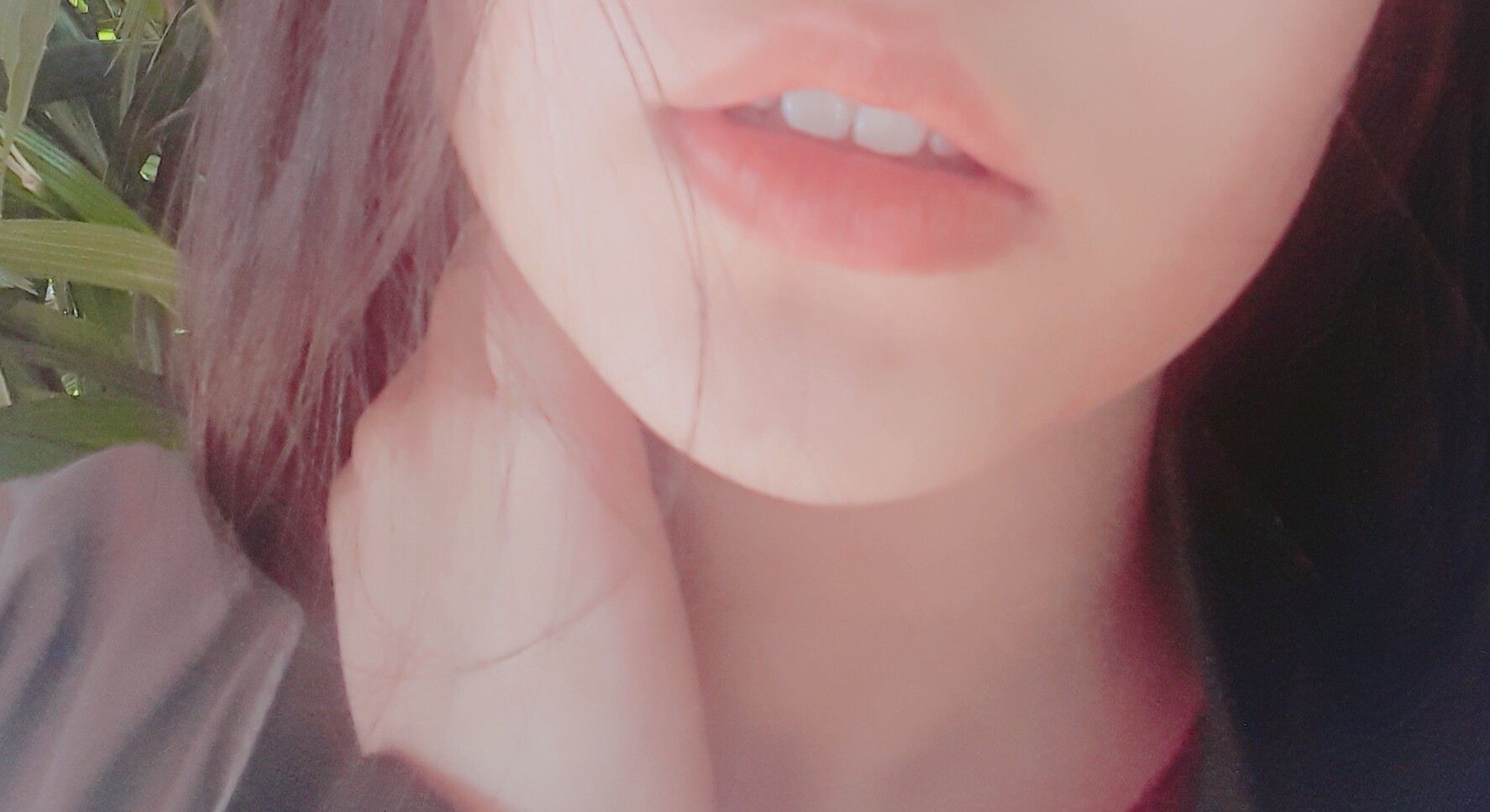 Đài Đài