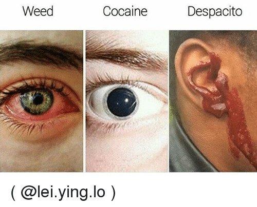 weed cocaine despacito lei ying lo 26814267
