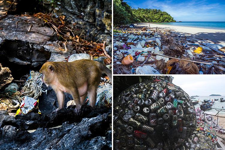 Bãi biển nổi tiếng bị ô nhiễm, chính phủ Thái Lan quyết tâm đóng cửa để cải tạo môi trường