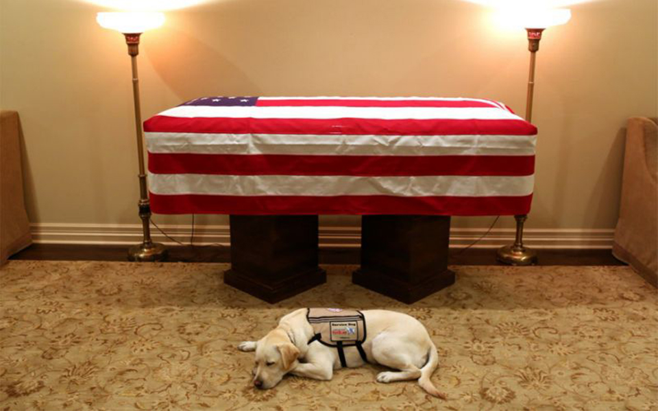 Xúc động trước hình ảnh chú chó của cố Tổng thống George H.W. Bush nằm bên quan tài chủ
