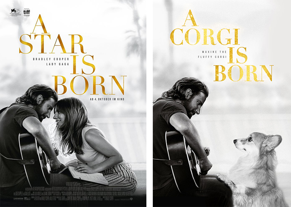 Khi bé chó Corgi trở thành nhân vật chính trong các poster phim bom tấn