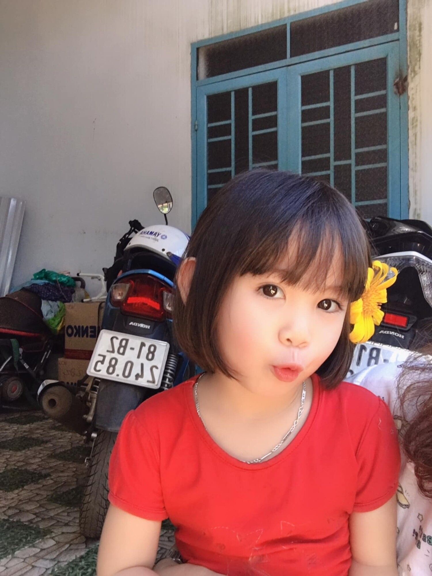 lost bird co be viet nam dang yeu 2