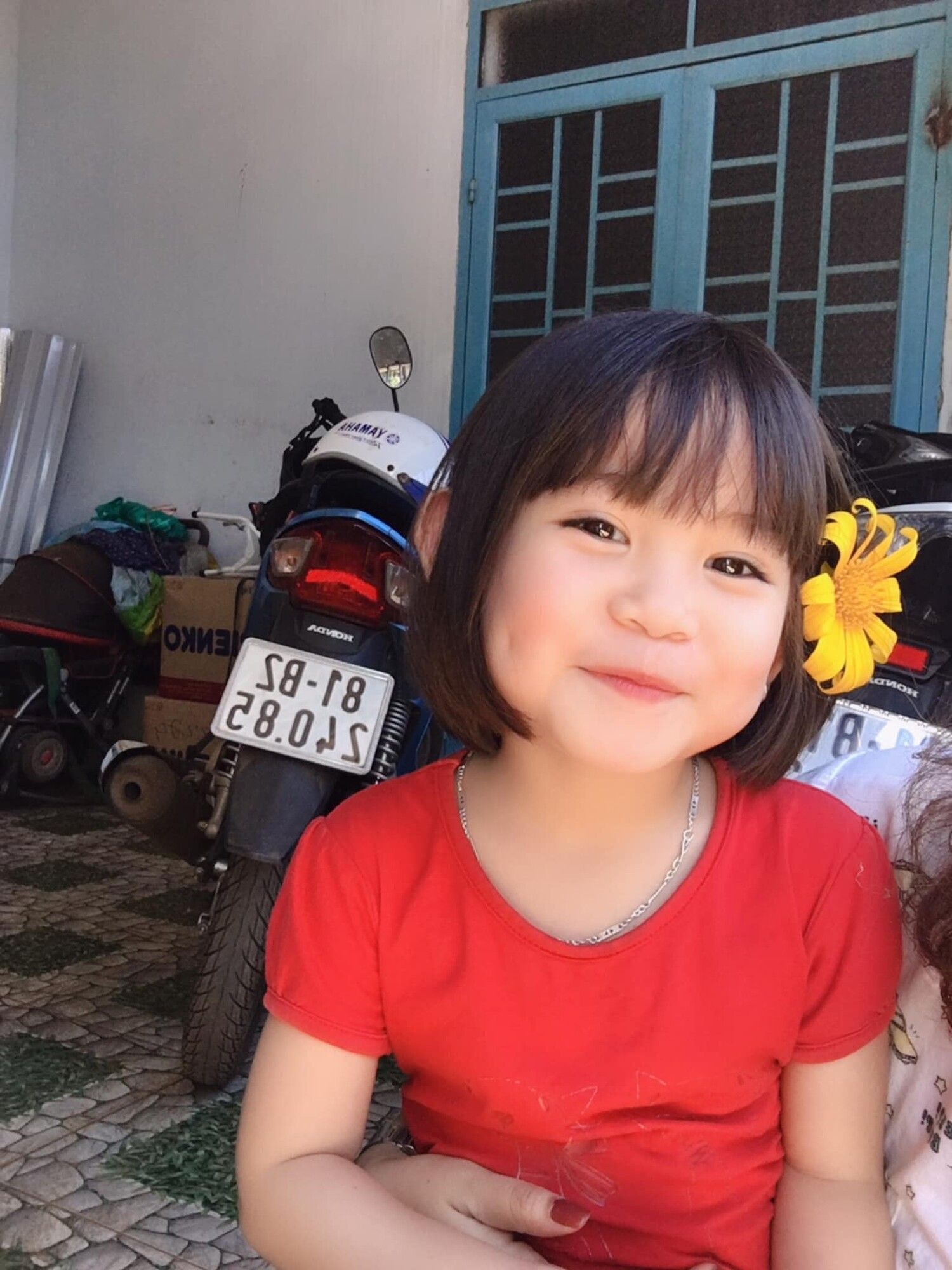 lost bird co be viet nam dang yeu 3