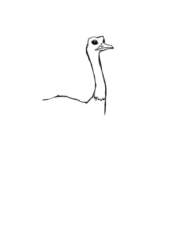lost bird bo tranh ve dung hoi thuc designer 26