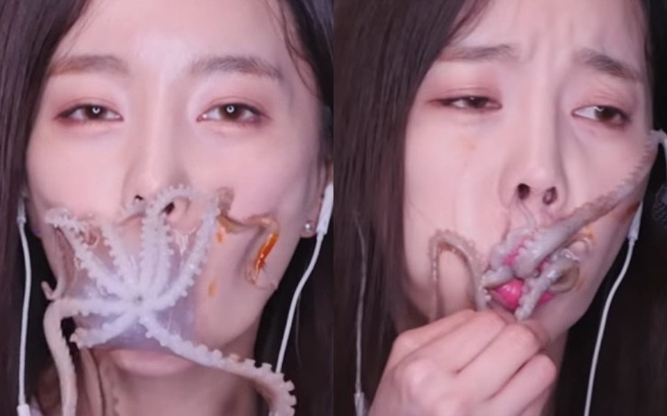 Ăn bạch tuộc nguyên con để nổi tiếng, nữ YouTuber Hàn bị 'ném đá' không thương tiếc