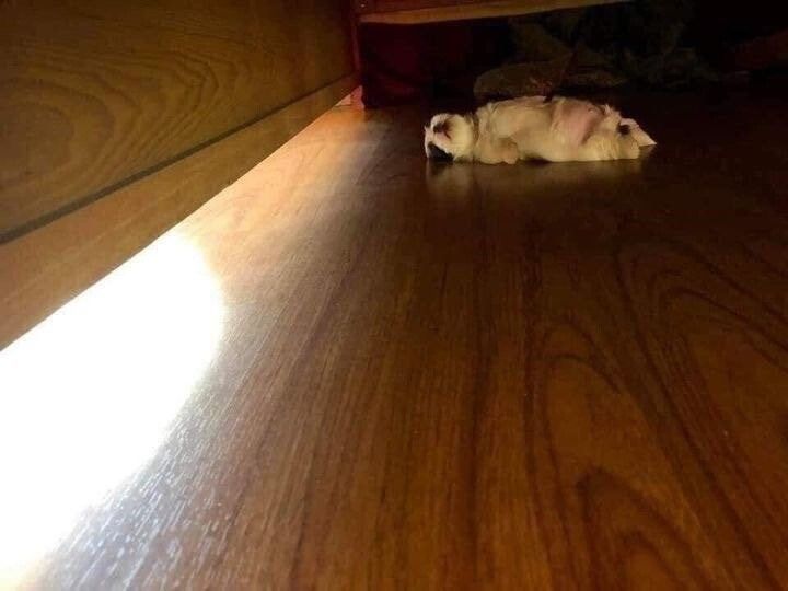 25 1