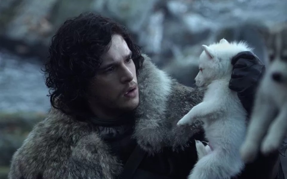 Diễn viên 'Game of Thrones' cảnh báo: Chó Husky bị bỏ rơi nhiều hơn kể từ khi phim ra mắt