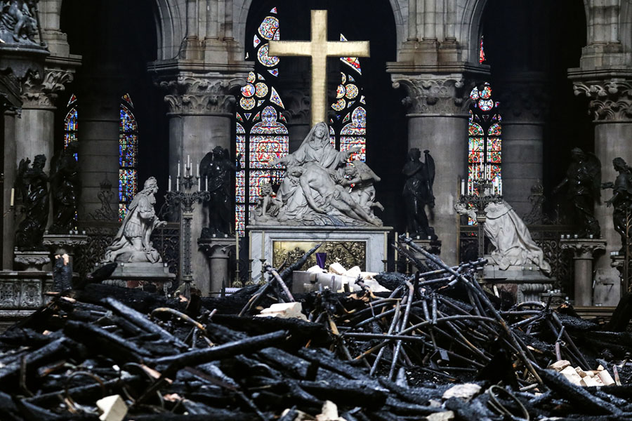 Nước Pháp không còn cây đủ chiều cao để phục dựng lại phần mái của Nhà thờ Đức Bà Paris