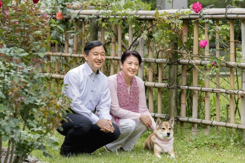 image l