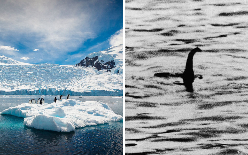 Hoá thạch 70 triệu năm tuổi nghi ngờ của 'quái vật hồ Loch Ness đời thực' được tìm thấy ở Nam Cực