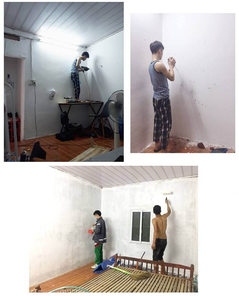 lost bird tan trang nha cua 1