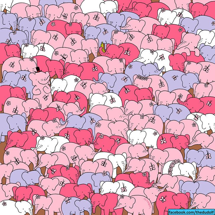1 1