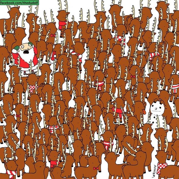 141
