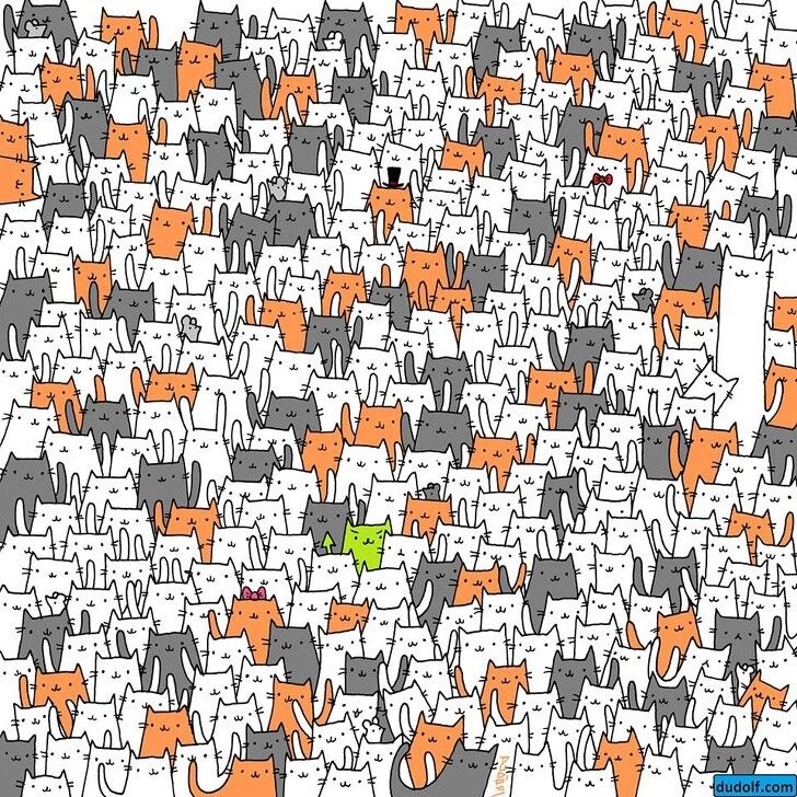 161