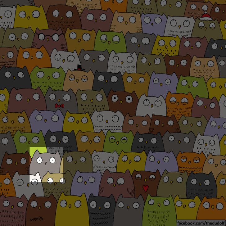 62