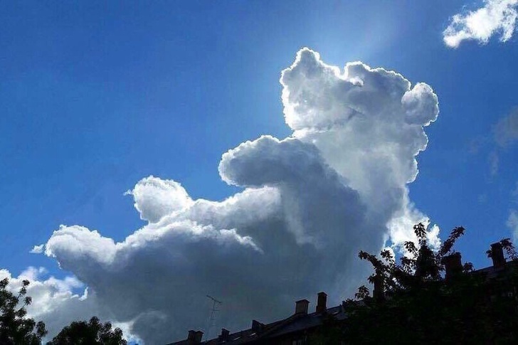 Đã bao giờ bạn nhìn lên bầu trời và phát hiện ra 'thông điệp' của những đám mây?