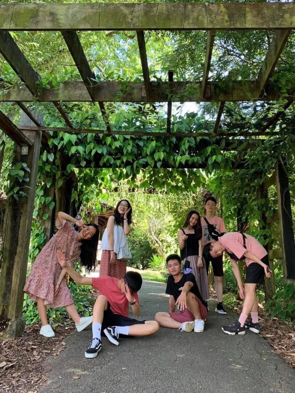 lost bird hoi ban than cuc pham 2