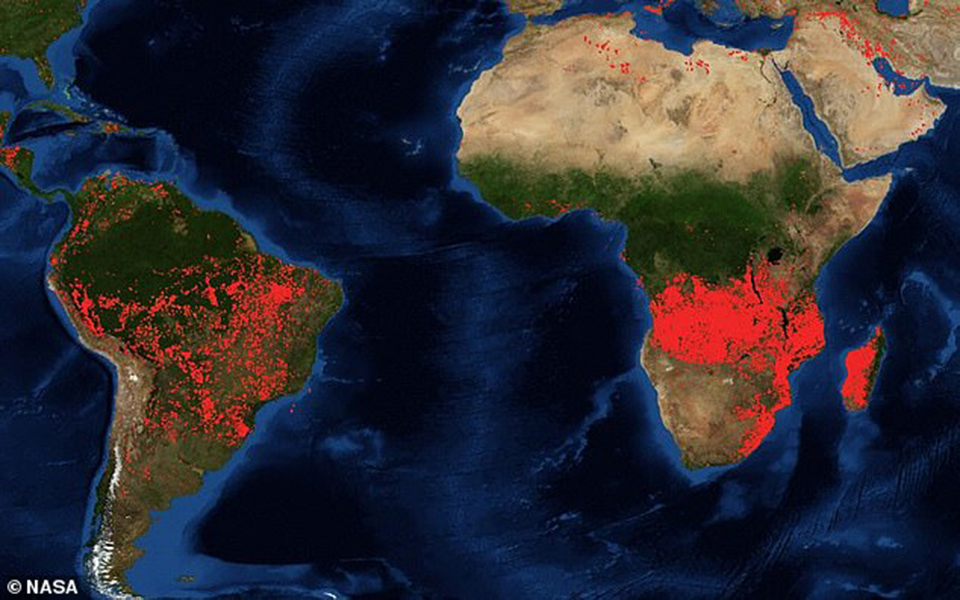 Rừng Amazon chưa được dập lửa thì đến rừng châu Phi cháy dữ dội hàng trăm kilomet