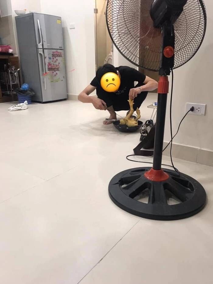 lost bird dan ban trai ra mat vao ngay thu 6 ngay 13 1