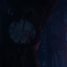 cap3