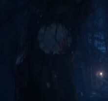 cap4