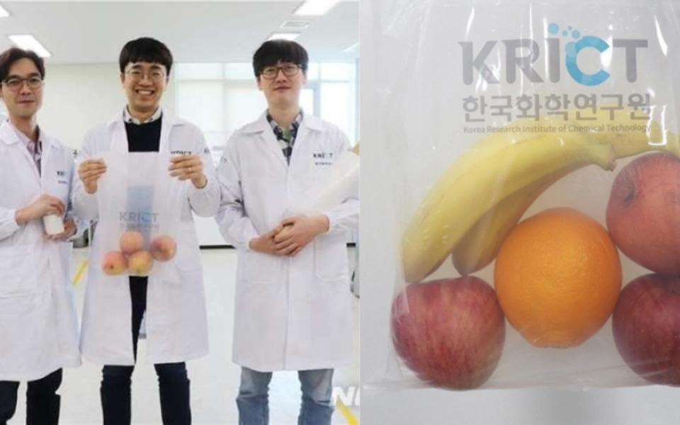 Nhà khoa học Hàn Quốc phát minh 'túi nhựa' được làm từ vỏ cua để cứu sống môi trường