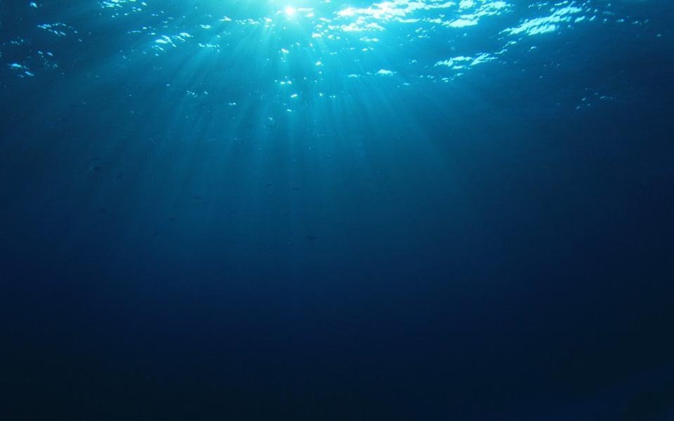 18 trải nghiệm kinh dị ở dưới đáy biển