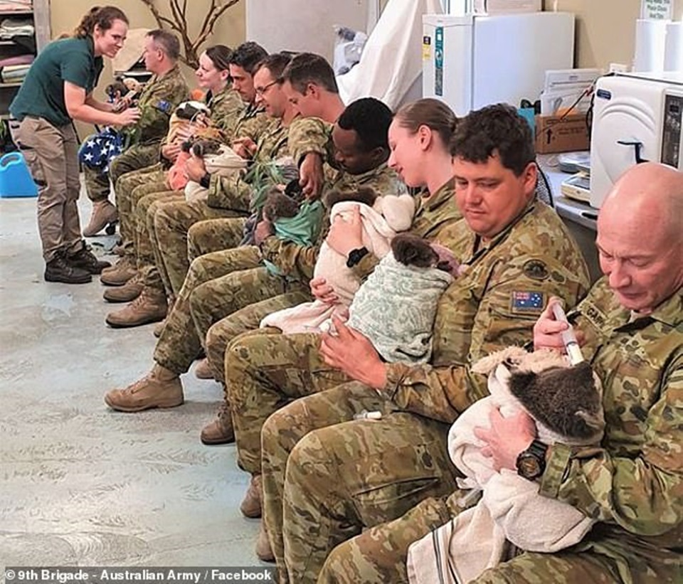 Chuyện ấm lòng sau thảm họa cháy rừng tại Úc: Binh sĩ quân đội dùng thời gian nghỉ ngơi để chăm sóc cho Koala