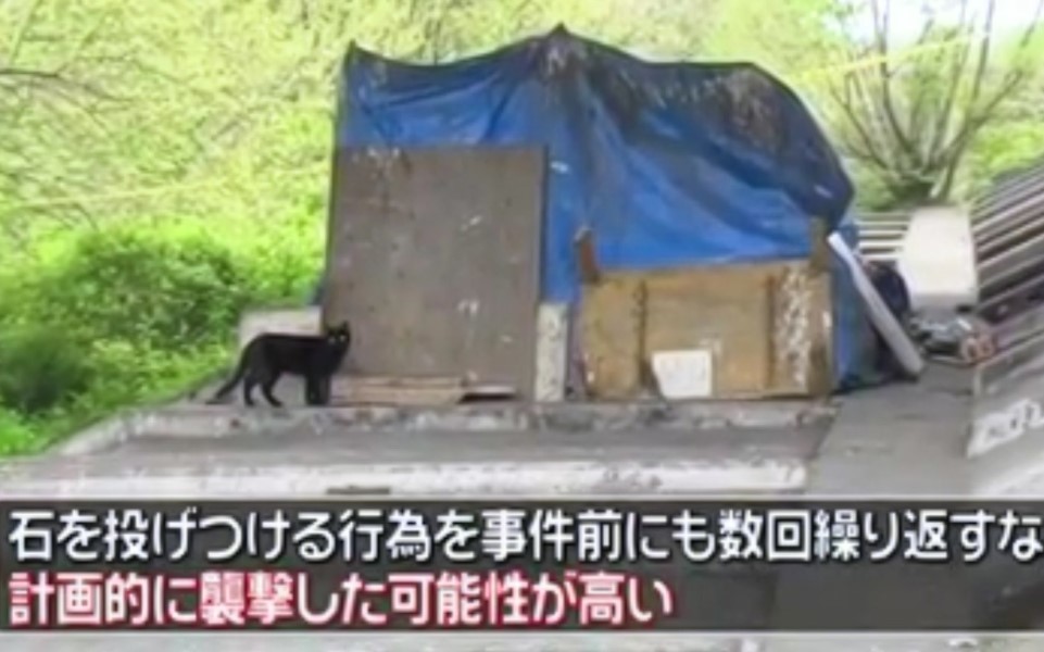 Nhật Bản: Ông lão vô gia cư yêu mèo bị nhóm sinh viên ném đá đến chết
