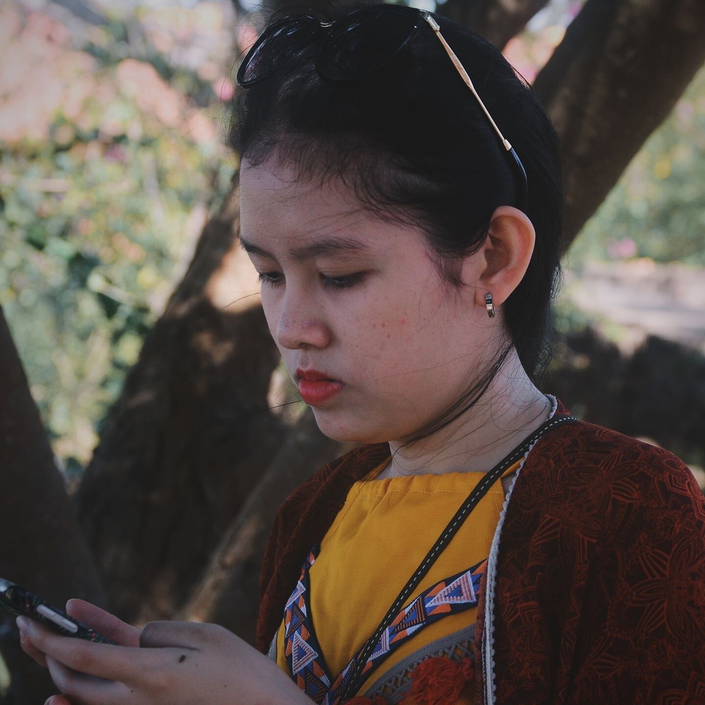 Mèo Thổ Cẩm